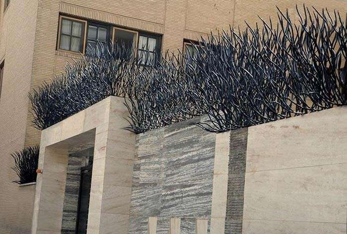 تراکم حفاظ شاخ گوزنی